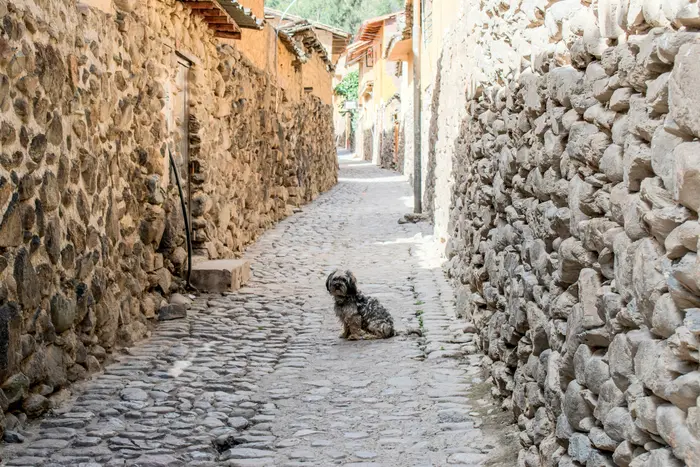 Cobblestone street